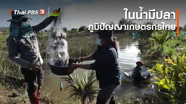 คลิปบ้านทุ่ง : ในน้ำมีปลา ภูมิปัญญาเกษตรกรไทย