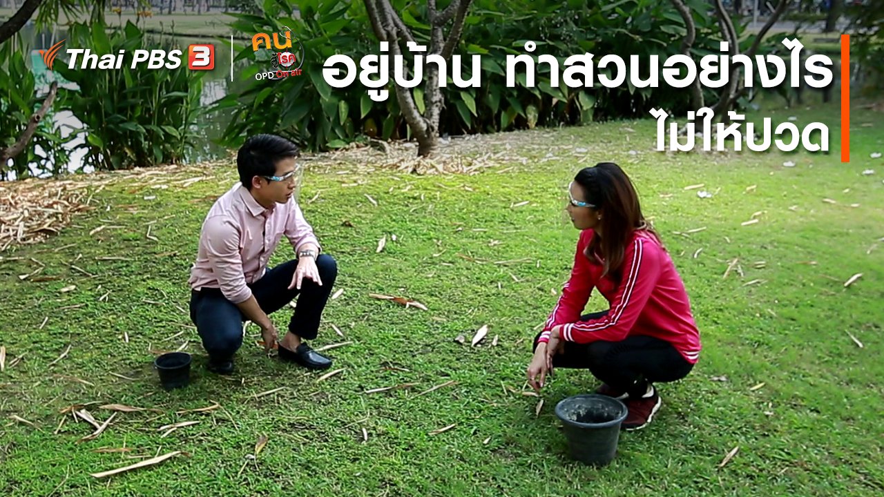 คนสู้โรค - บำบัดง่าย ๆ ด้วยกายภาพ : อยู่บ้าน ทำสวนอย่างไรไม่ให้ปวด