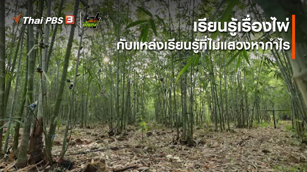 ภัตตาคารบ้านทุ่ง - คลิปบ้านทุ่ง : เรียนรู้เรื่องไผ่กับแหล่งเรียนรู้ที่ไม่แสวงหากำไร