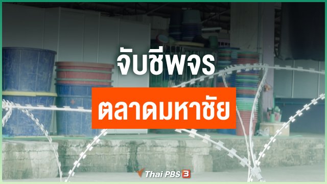 จับชีพจรตลาดมหาชัย