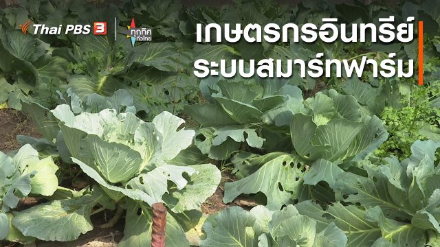 เกษตรกรอินทรีย์ระบบสมาร์ทฟาร์ม จ.ฉะเชิงเทรา