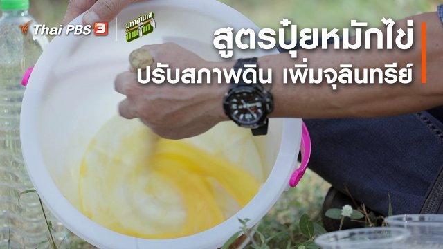 สูตรลับฉบับบ้านนา : สูตรปุ๋ยหมักไข่