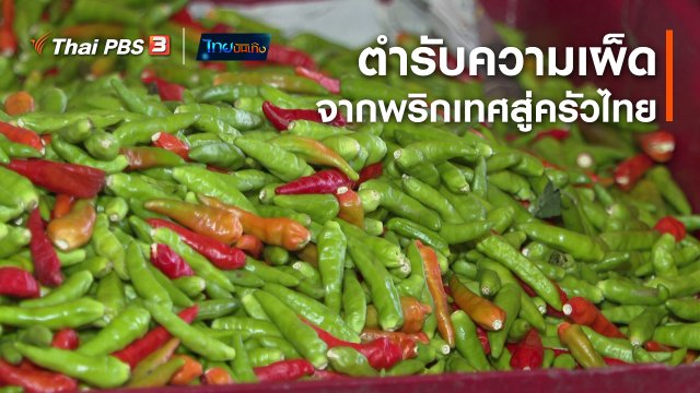 เรื่องนี้มีตำนาน : ตำรับความเผ็ดจากพริกเทศสู่ครัวไทย
