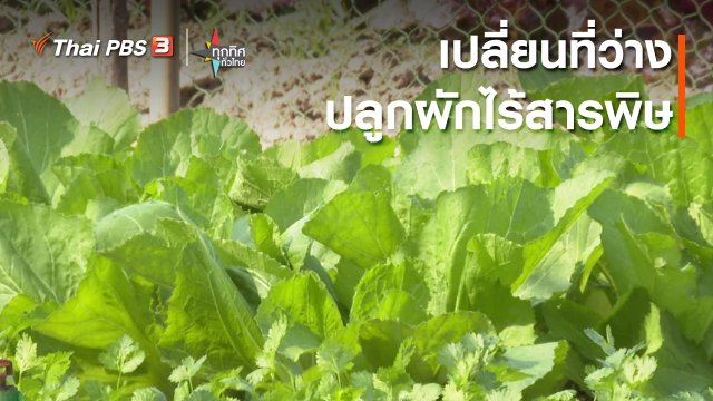 เปลี่ยนที่ว่างปลูกผักไร้สารพิษ จ.นครสวรรค์