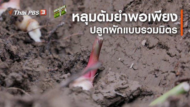 สูตรลับฉบับบ้านนา : หลุมต้มยำพอเพียง