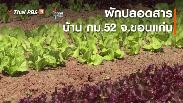 ผักปลอดสาร บ้าน กม.52 จ.ขอนแก่น