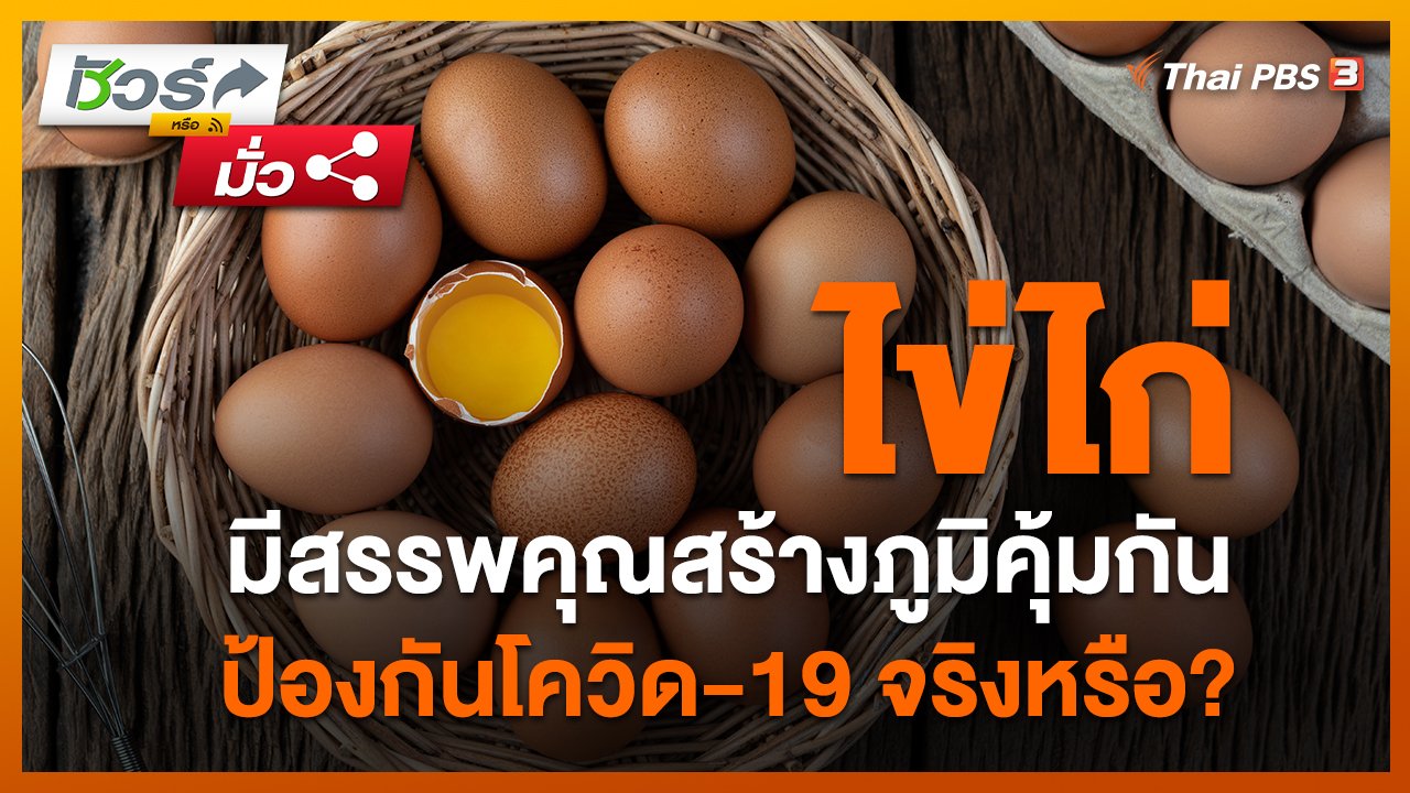 วันใหม่วาไรตี้ - ชัวร์หรือมั่ว : ไข่ไก่มีสรรพคุณสร้างภูมิคุ้มกันป้องกันโควิด-19 ?