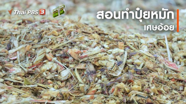 สูตรลับฉบับบ้านนา : สอนทำปุ๋ยหมักเศษอ้อย