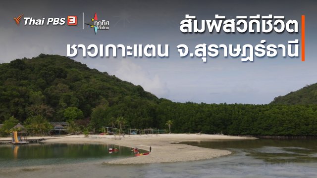 ​วิถีทั่วไทย : สัมผัสวิถีชีวิตชาวเกาะแตน จ.สุราษฎร์ธานี