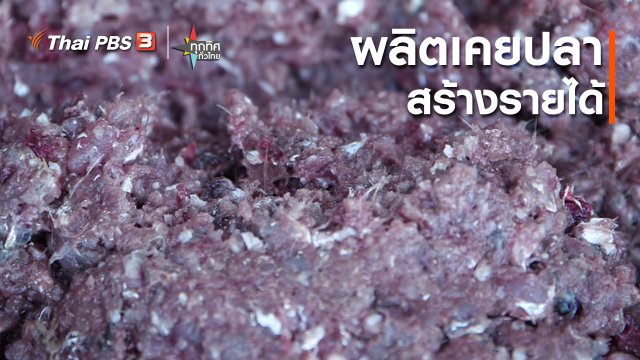 ​อาชีพทั่วไทย : ผลิตเคยปลาสร้างรายได้ จ.สุราษฎร์ธานี