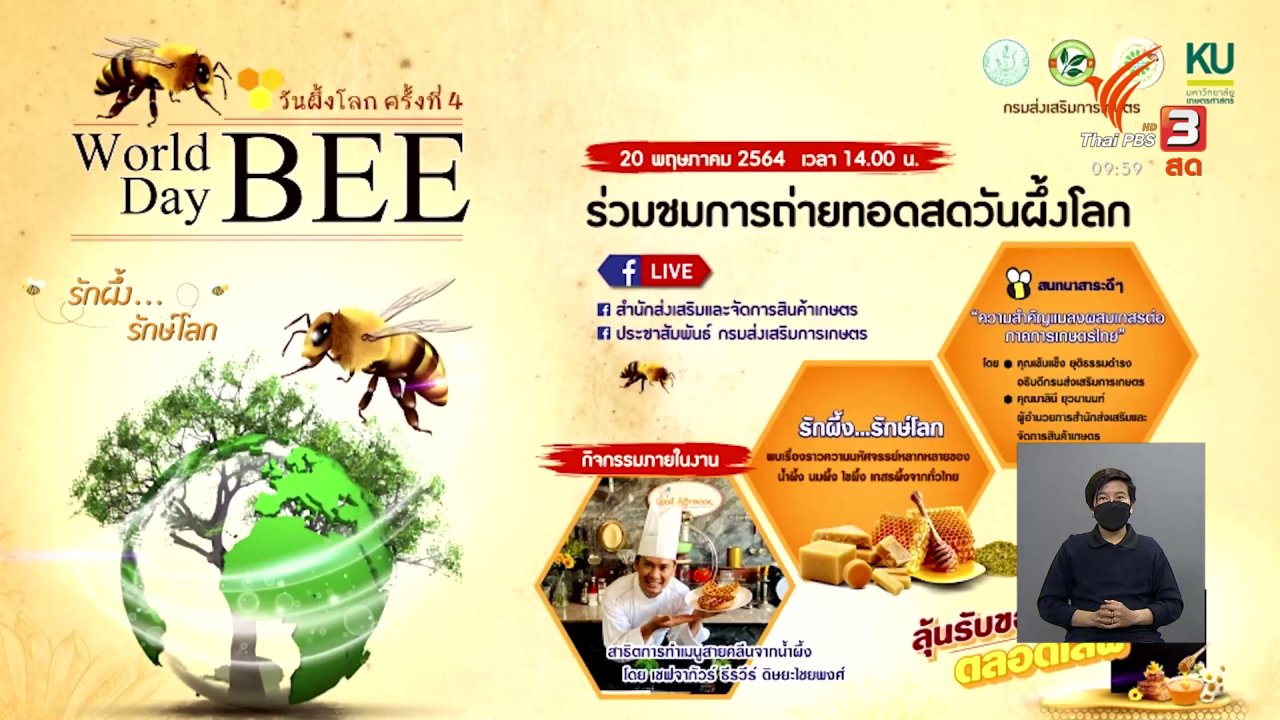 วันใหม่วาไรตี้ - งาน "วันผึ้งโลก ครั้งที่ 4" โดยกรมส่งเสริมการเกษตร