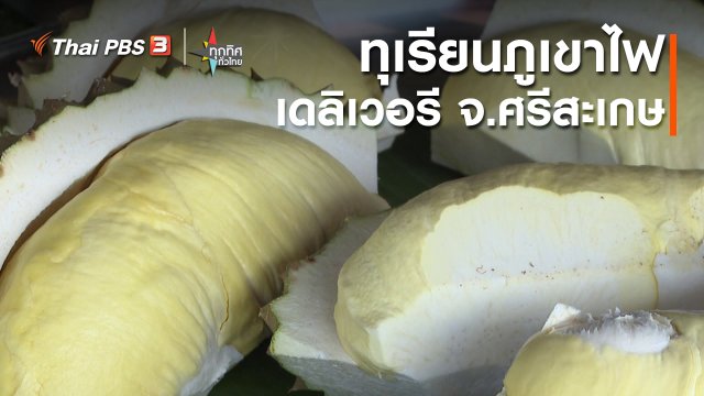อาชีพทั่วไทย : ทุเรียนภูเขาไฟเดลิเวอรี จ.ศรีสะเกษ