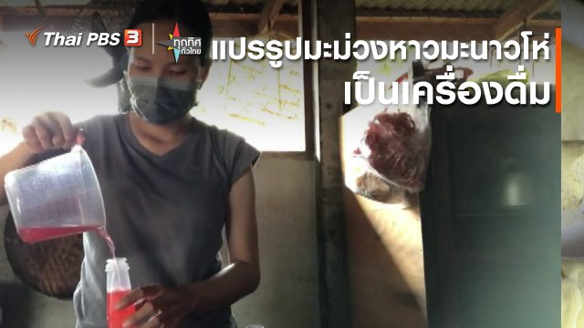 แปรรูปมะม่วงหาวมะนาวโห่เป็นเครื่องดื่ม