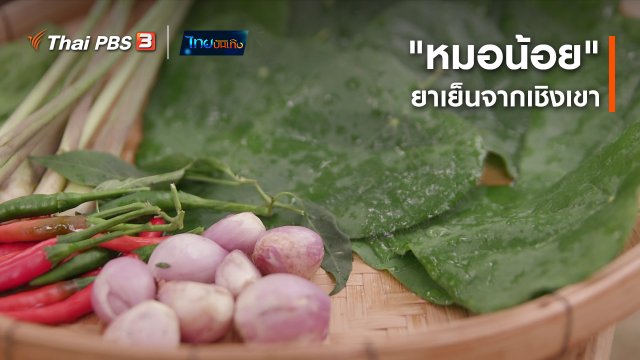 อิ่มมนต์รส : "หมอน้อย" ยาเย็นจากเชิงเขา