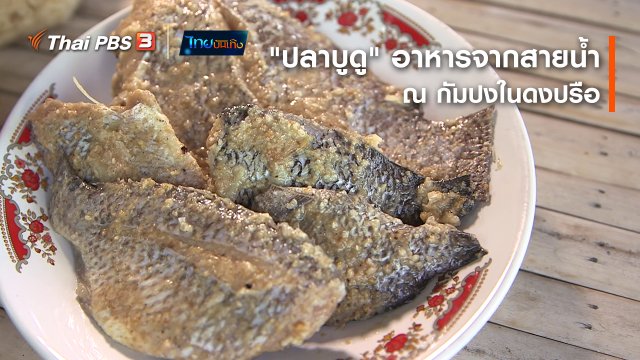 อิ่มมนต์รส : "ปลาบูดู" อาหารจากสายน้ำ ณ กัมปงในดงปรือ