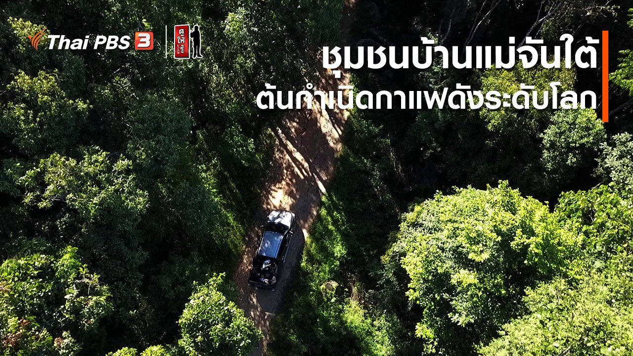 ดูให้รู้ Dohiru - รู้ให้ลึกเรื่องญี่ปุ่น : ชุมชนบ้านแม่จันใต้ ต้นกำเนิดกาแฟดังระดับโลก