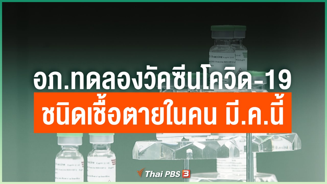 Coronavirus - อภ.ทดลองวัคซีนโควิด-19 ชนิดเชื้อตายในคน มี.ค.นี้