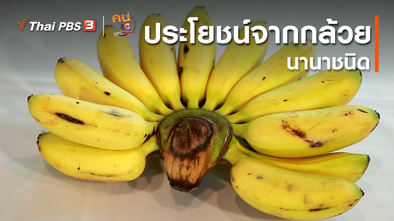 คนสู้โรค - กินดี อยู่ดี กับหมอพรเทพ : ประโยชน์จากกล้วยนานาชนิด