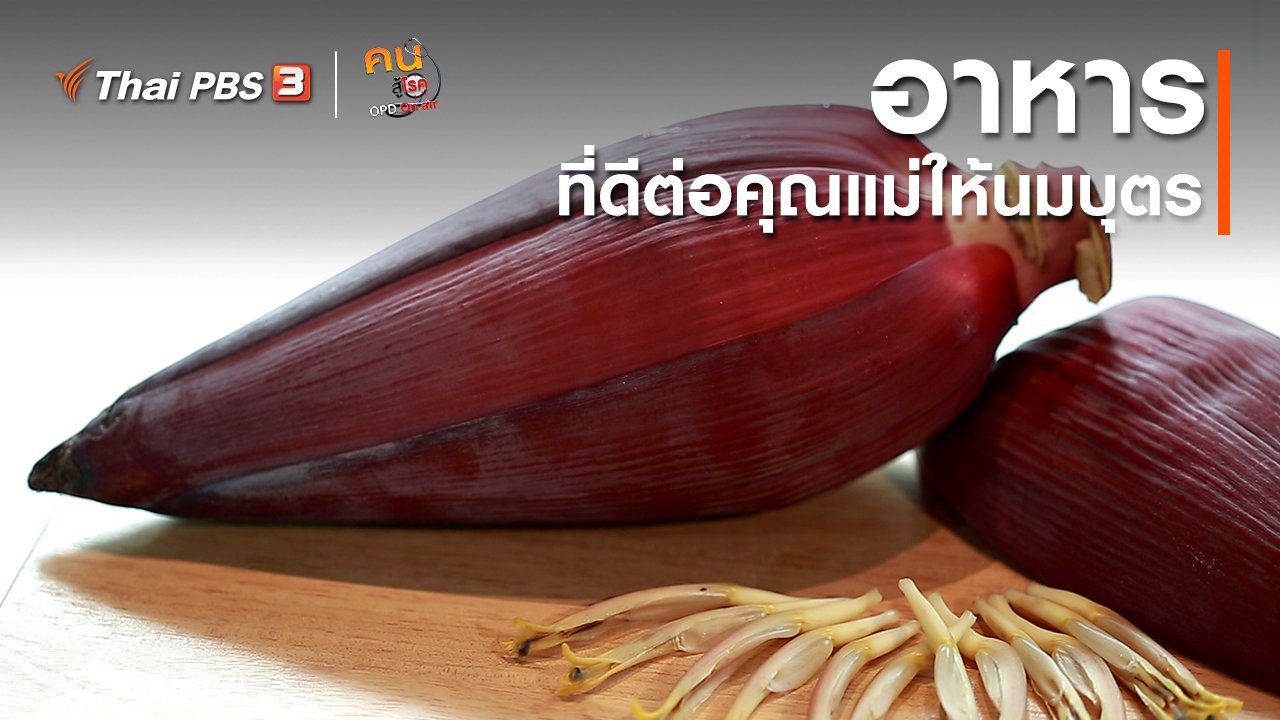 คนสู้โรค - รู้สู้โรค : อาหารที่ดีต่อคุณแม่ให้นมบุตร