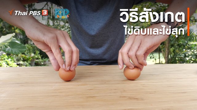 คิดส์เรียนรู้ : วิธีสังเกตไข่ดิบและไข่สุก