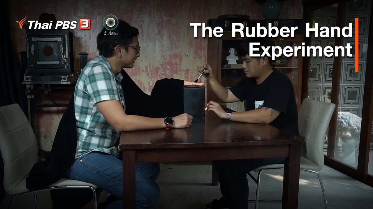 พื้นที่ชีวิต - เปิดโลกเปิดความคิด : The Rubber Hand Experiment