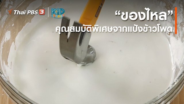 คิดส์เรียนรู้ : “ของไหล” คุณสมบัติพิเศษจากแป้งข้าวโพด
