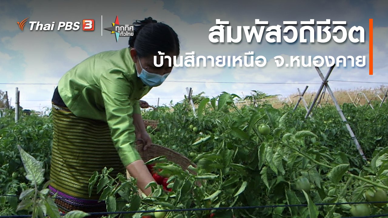 ทุกทิศทั่วไทย - วิถีทั่วไทย : สัมผัสวิถีชีวิตบ้านสีกายเหนือ จ.หนองคาย