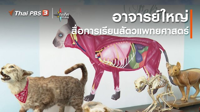 วิถีทั่วไทย : อาจารย์ใหญ่สื่อการเรียนสัตวแพทยศาสตร์