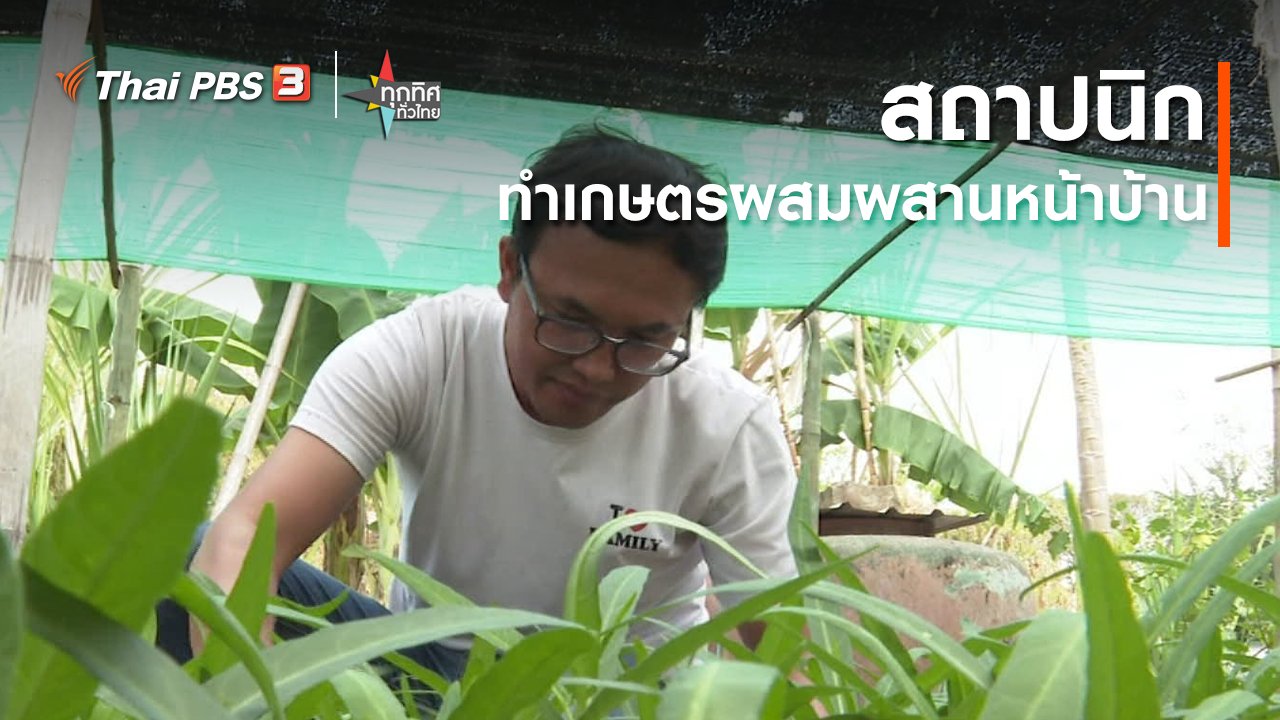 ทุกทิศทั่วไทย - อาชีพทั่วไทย : สถาปนิกทำเกษตรผสมผสานหน้าบ้าน จ.เพชรบูรณ์