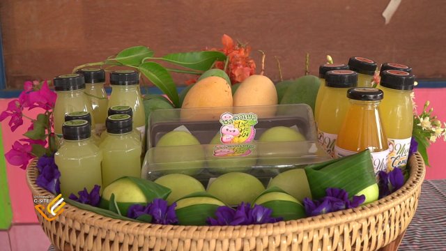 เกษตรแม่นยำ ทางเลือกแก้ปัญหาระบบเกษตร