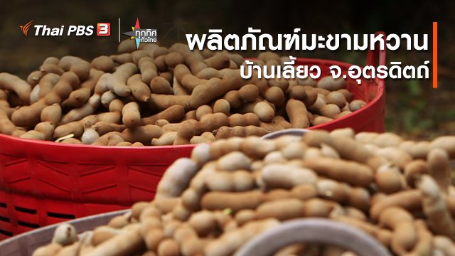 อาชีพทั่วไทย : ผลิตภัณฑ์มะขามหวานบ้านเลี้ยว จ.อุตรดิตถ์