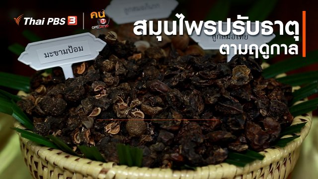 ​ปรับก่อนป่วย : สมุนไพรปรับธาตุตามฤดูกาล