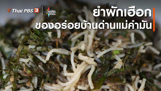 ​วิถีทั่วไทย : ยำผักเฮือก ของอร่อยบ้านด่านแม่คำมัน จ.อุตรดิตถ์