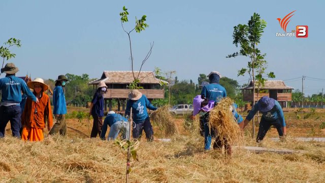 โคกหนองนายุคโควิด-19