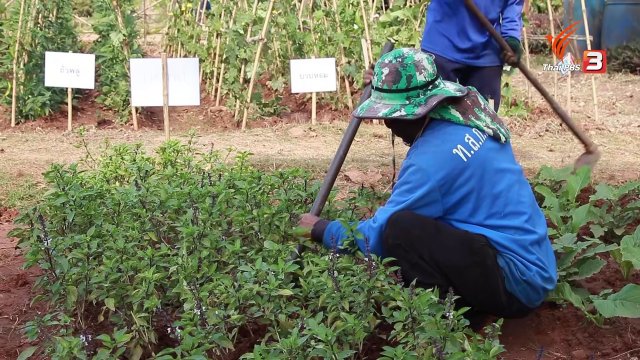 ทัณฑสถานสร้างโอกาส