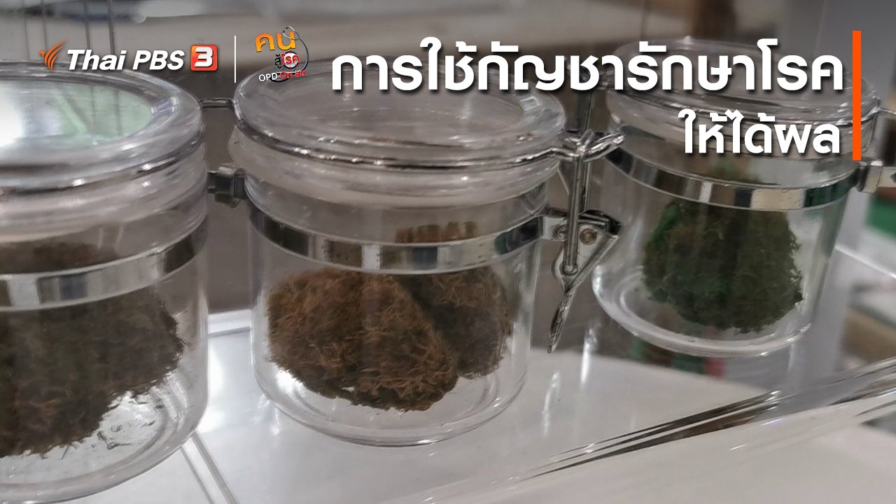 คนสู้โรค - รู้สู้โรค : การใช้กัญชารักษาโรคให้ได้ผล