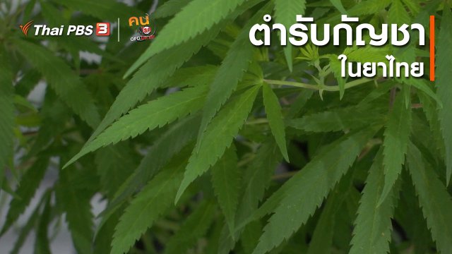 ​รู้สู้โรค : ตำรับกัญชาในยาไทย