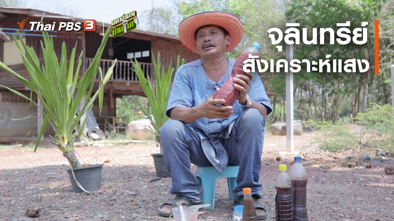 มหาอำนาจบ้านนา - สูตรลับฉบับบ้านนา : จุลินทรีย์สังเคราะห์แสง