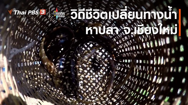 วิถีทั่วไทย : วิถีชีวิตเปลี่ยนทางน้ำหาปลา จ.เชียงใหม่