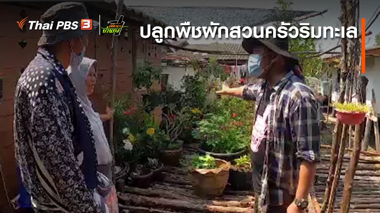 ภัตตาคารบ้านทุ่ง - คลิปบ้านทุ่ง : ปลูกพืชผักสวนครัวริมทะเล สด สะอาด ปลอดสารเคมี