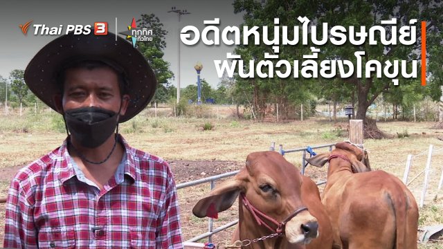 อาชีพทั่วไทย : อดีตหนุ่มไปรษณีย์ผันตัวเลี้ยงโคขุน จ.กาญจนบุรี