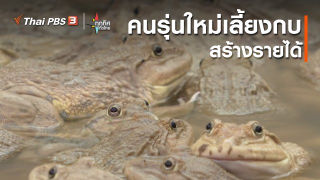 อาชีพทั่วไทย : คนรุ่นใหม่เลี้ยงกบสร้างรายได้ จ.พระนครศรีอยุธยา