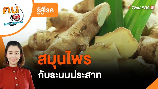 รู้สู้โรค : สมุนไพรกับระบบประสาท