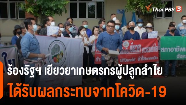 สถานีร้องเรียน : ร้องรัฐฯ เยียวยาเกษตรกรผู้ปลูกลำไย ได้รับผลกระทบจากโควิด-19