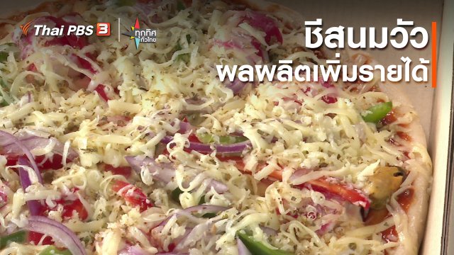 อาชีพทั่วไทย : ชีสนมวัวผลผลิตเพิ่มรายได้ จ.มหาสารคาม