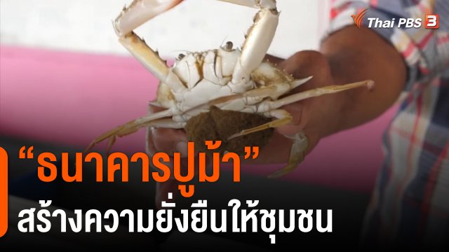 ดอกผลของความยั่งยืน : “ธนาคารปูม้า” สร้างความยั่งยืนให้ชุมชน