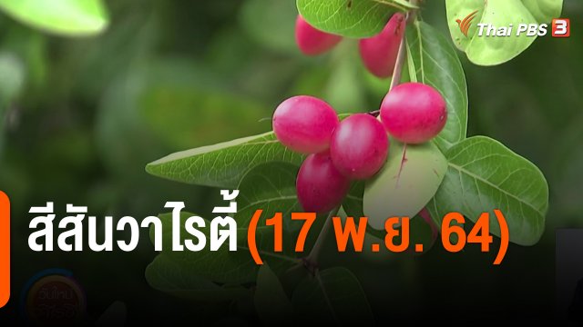 สีสันวาไรตี้ (17 พ.ย. 64)