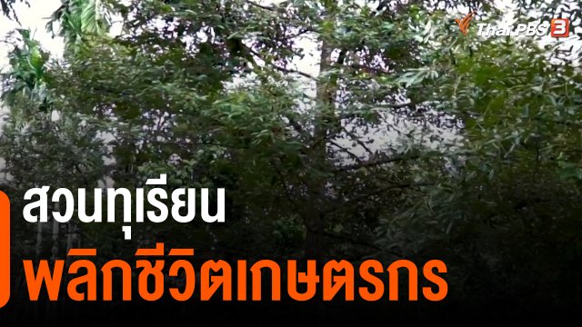 ​ดอกผลของความยั่งยืน : สวนทุเรียนพลิกชีวิตเกษตรกร