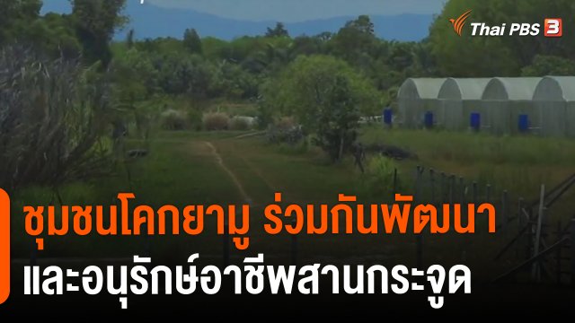 ​ดอกผลของความยั่งยืน : ชุมชนโคกยามู ร่วมกันพัฒนาและอนุรักษ์อาชีพสานกระจูด