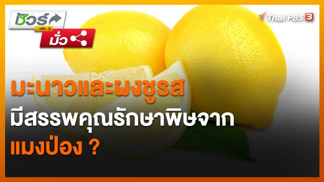 ​ชัวร์หรือมั่ว : มะนาวและผงชูรสมีสรรพคุณรักษาพิษจากแมงป่อง ?